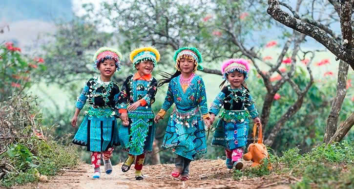 4fcadf663c49b317ea58