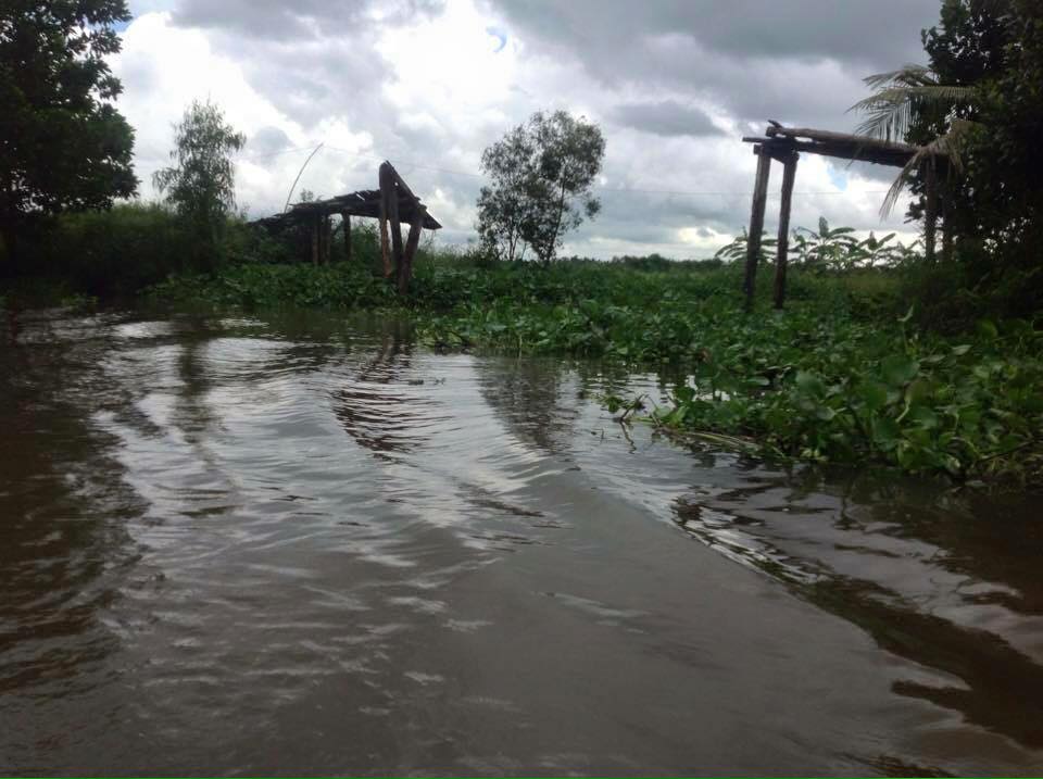 Project: Building a Y Tam Rural Bridge in Phụng Hiệp, Hậu Giang