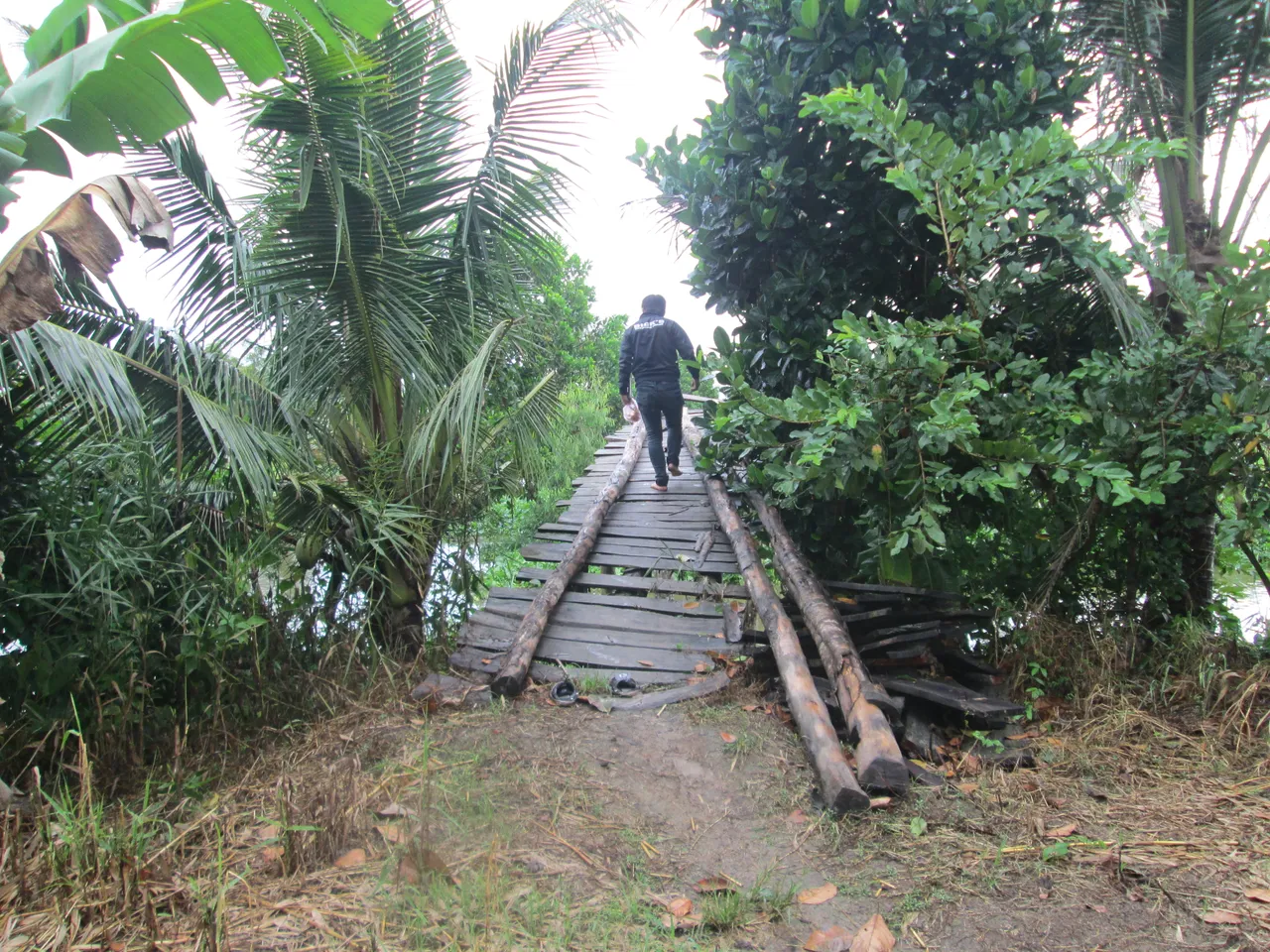Project: Building a Y Tam Rural Bridge in Phụng Hiệp, Hậu Giang