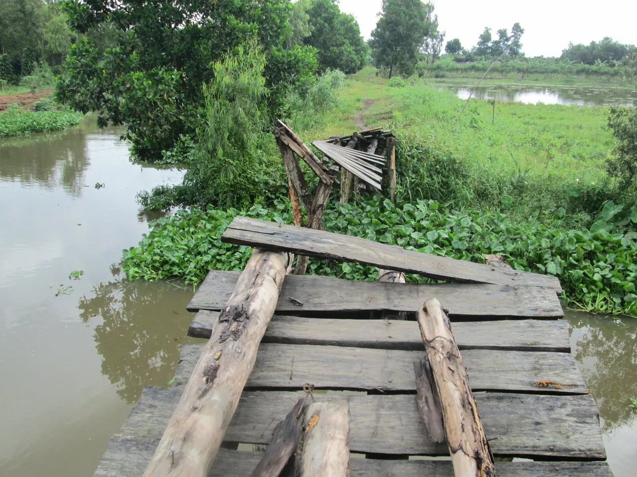 Project: Building a Y Tam Rural Bridge in Phụng Hiệp, Hậu Giang
