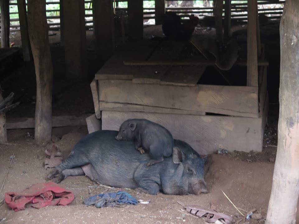 Y Tam cleans up the living environment in Ban village, Thượng Trạch, Quảng Bình