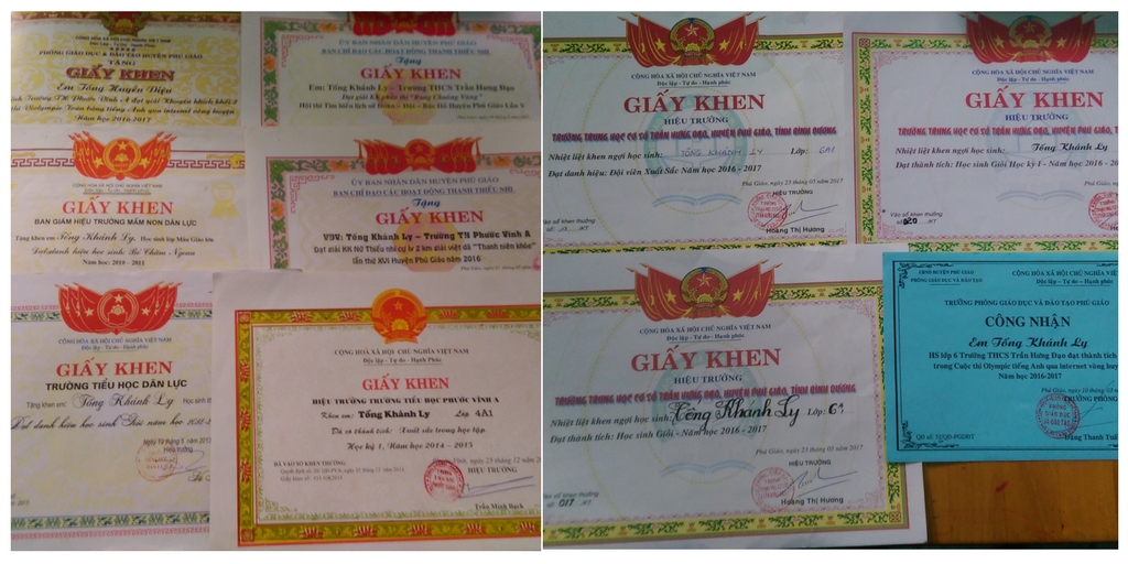 Y Tam Scholarship Fund: 1st sponsorship for Tống Khánh Ly