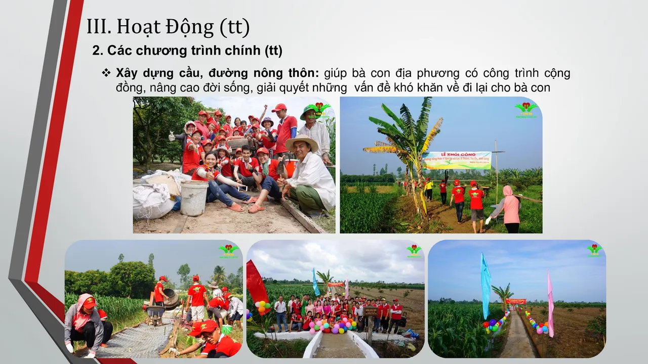 About Y Tam