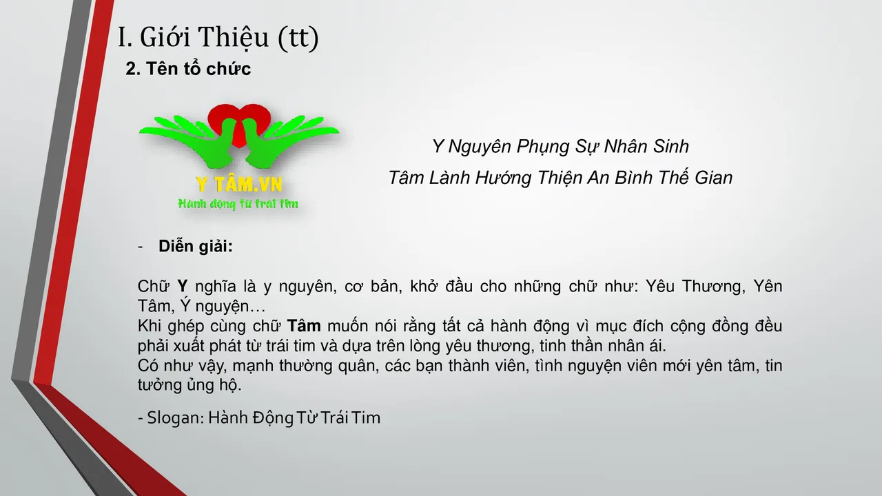 About Y Tam