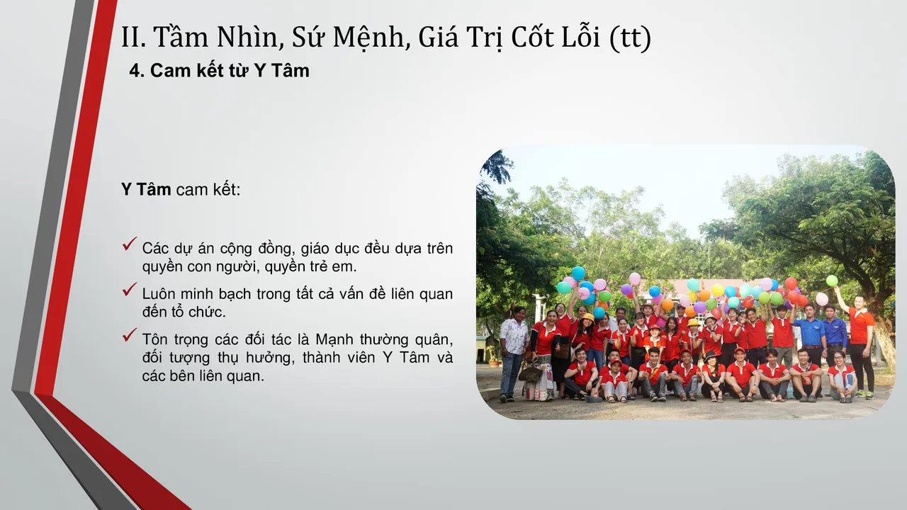 About Y Tam